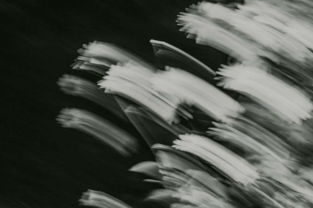 작품 제목 길이 테스트