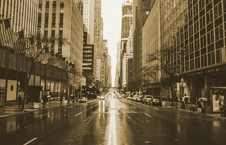 비 오는 날의 정원