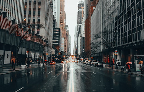 비 오는 날의 정원