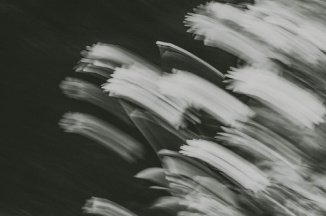 작품 제목 길이 테스트